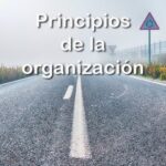 principios de la organización