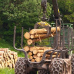 inversion en bosques y productos agricolas