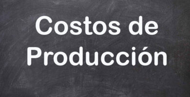 costos de producción